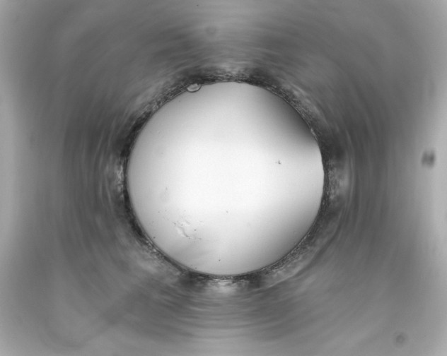 X0000093380613200711011251