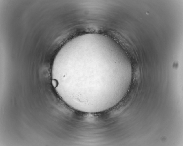 X0000093380616200711011251