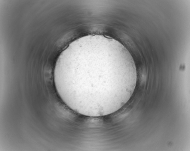 X0000093380619200711011251