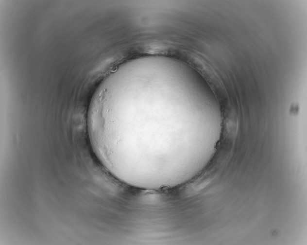 X0000093380620200711011251