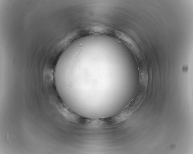 X0000093380621200711011251