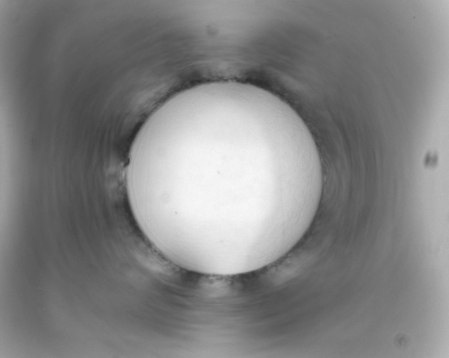 X0000093380624200711011251