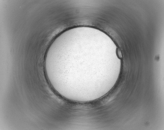 X0000093380625200711011250