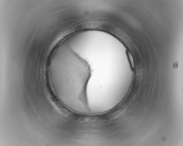 X0000093380626200711011250