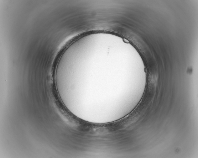 X0000093380628200711011250