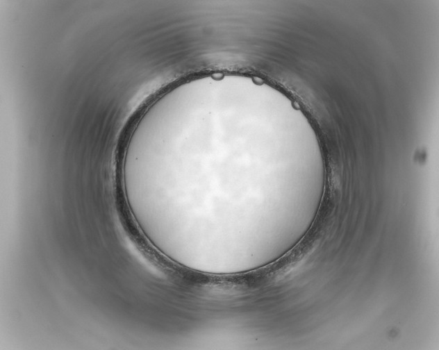 X0000093380630200711011250