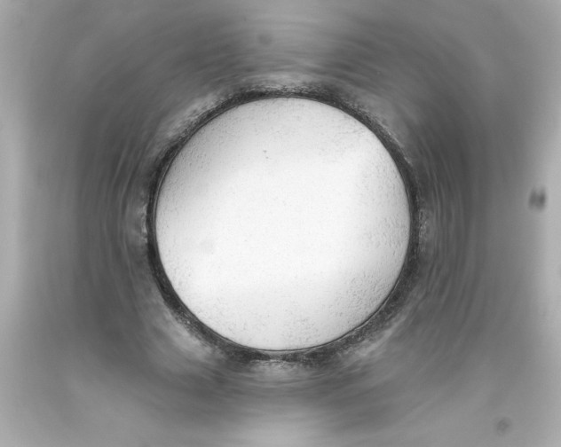 X0000093380633200711011250