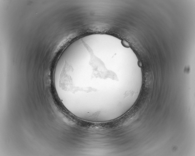 X0000093380634200711011250