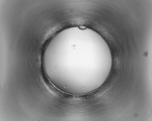 X0000093380638200711011250