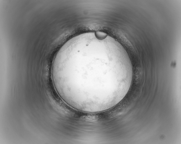 X0000093380639200711011250