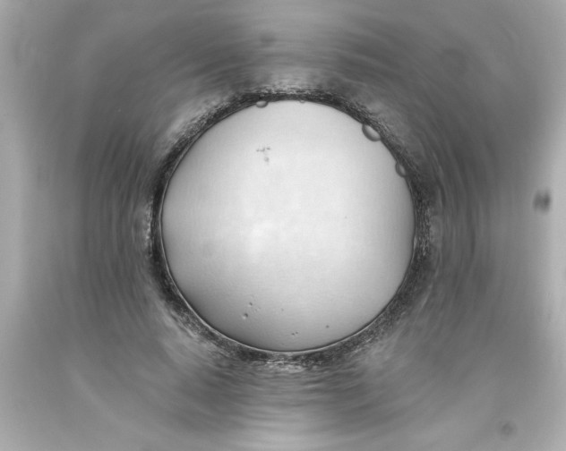 X0000093380640200711011250