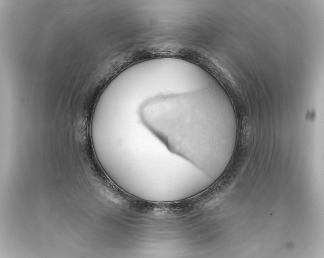 X0000093380641200711011250