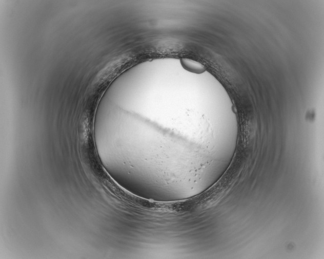 X0000093380644200711011250