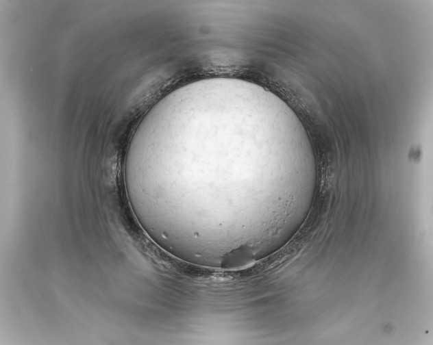 X0000093380647200711011251