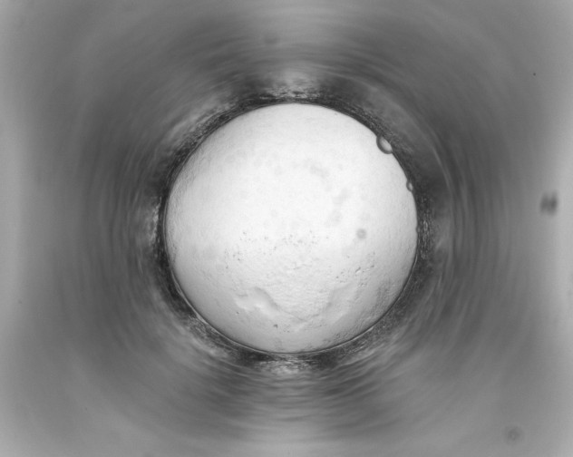 X0000093380652200711011251