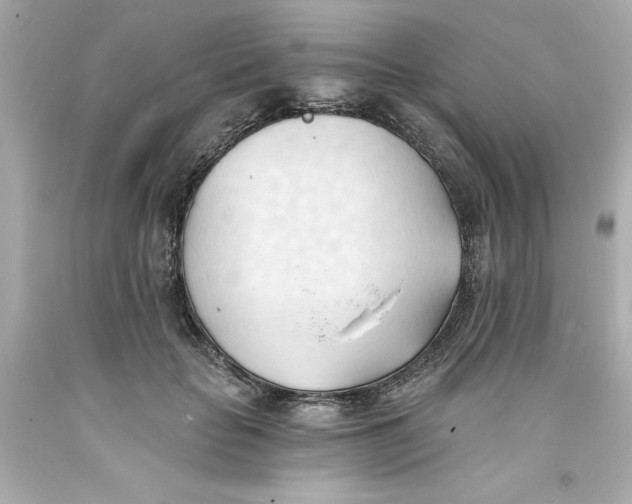 X0000093380653200711011251