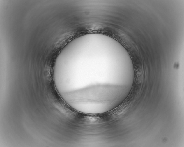 X0000093380654200711011251