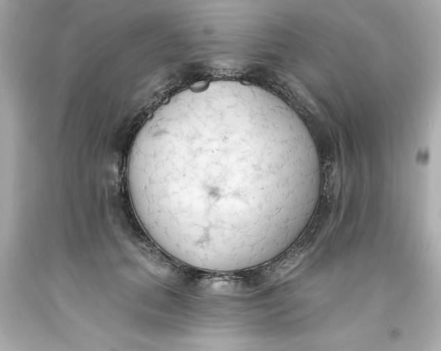 X0000093380655200711011251