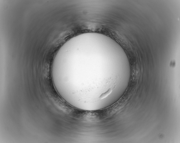 X0000093380656200711011251