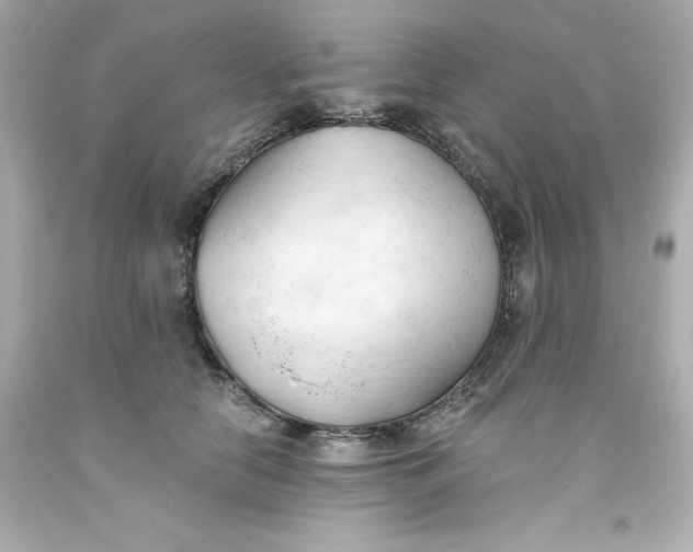 X0000093380658200711011251