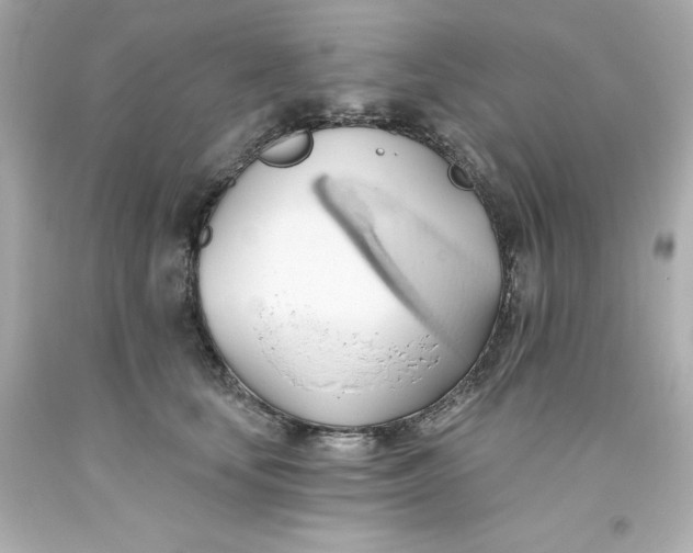 X0000093380659200711011251