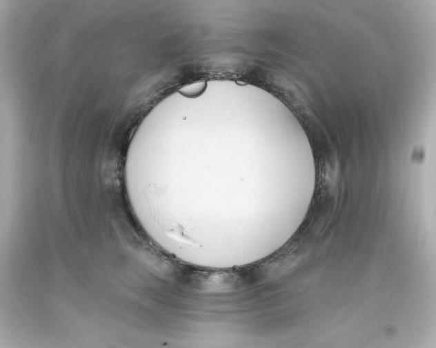 X0000093380663200711011251