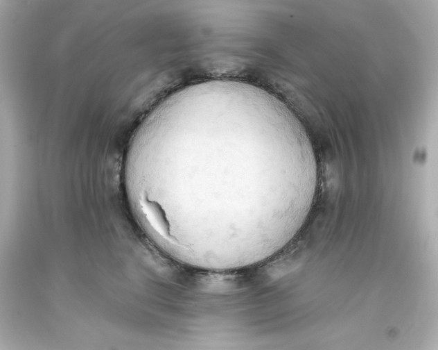 X0000093380664200711011251