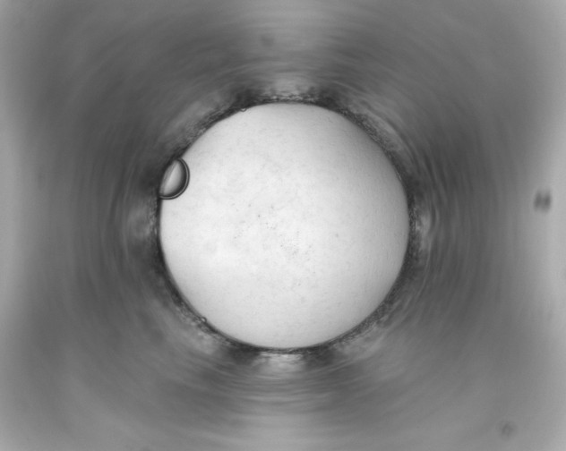 X0000093380665200711011251