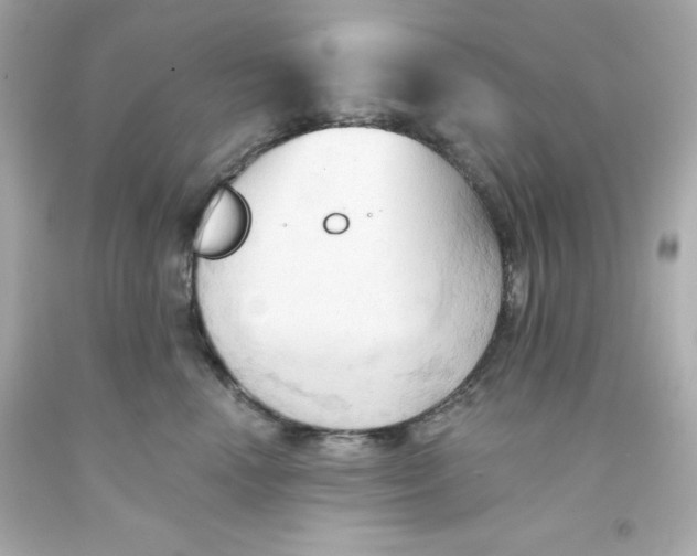 X0000093380666200711011251