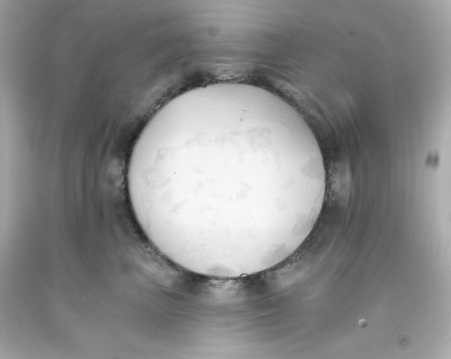 X0000093380667200711011251