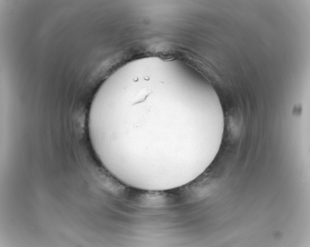 X0000093380668200711011251