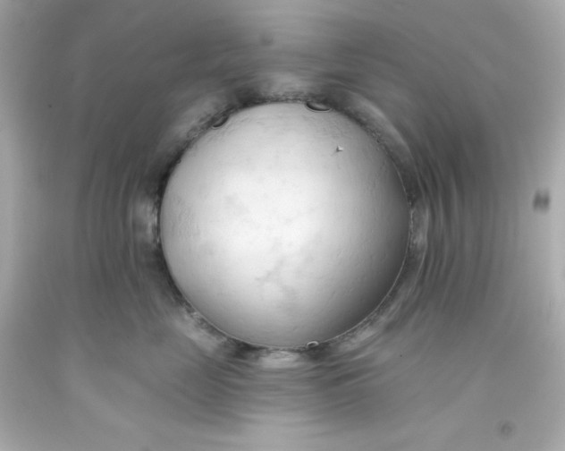 X0000093380669200711011251