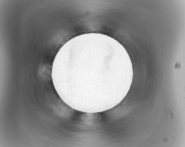 X0000093380672200711011251