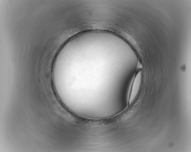 X0000093380673200711011250