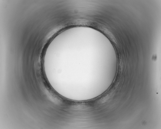 X0000093380674200711011250