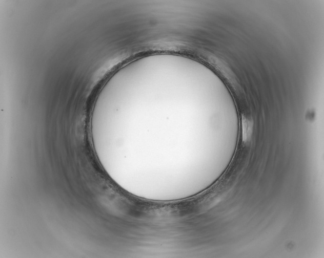 X0000093380675200711011250