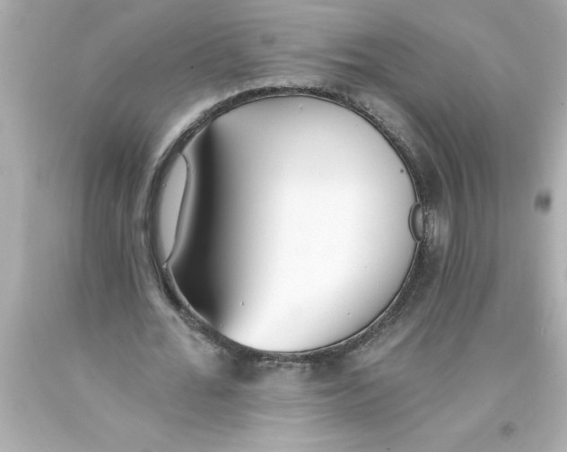 X0000093380676200711011250