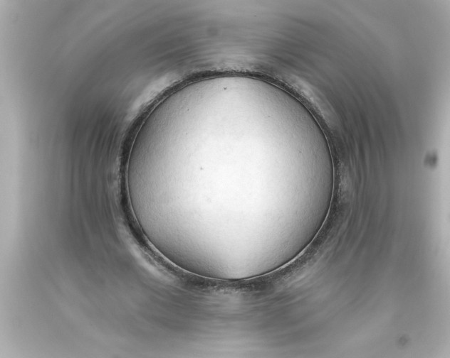 X0000093380677200711011250