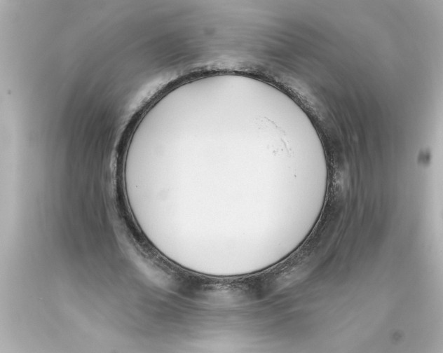 X0000093380678200711011250