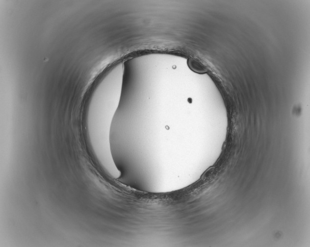 X0000093380679200711011250