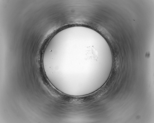 X0000093380680200711011250