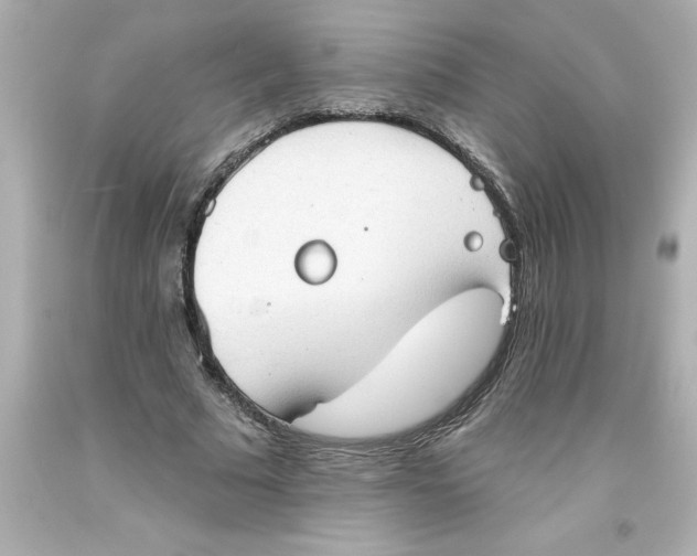 X0000093380681200711011250