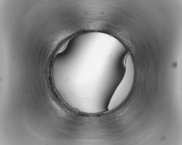 X0000093380683200711011250