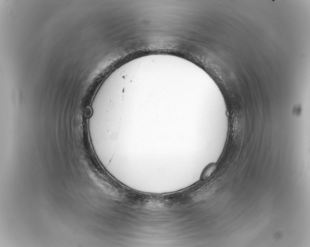 X0000093380684200711011250