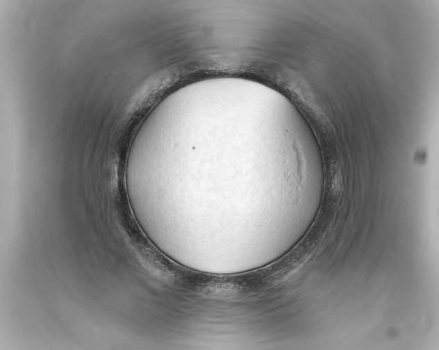 X0000093380685200711011250