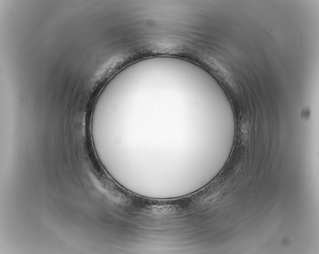 X0000093380686200711011250