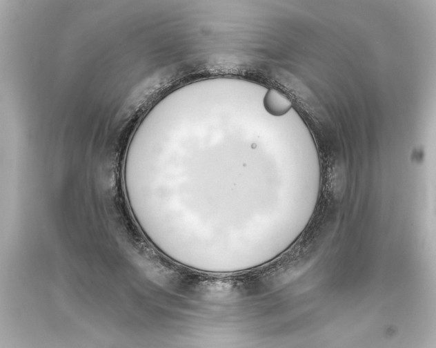 X0000093380687200711011250