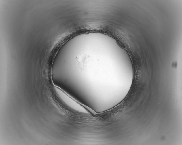 X0000093380688200711011250