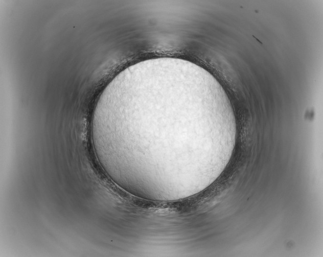 X0000093380689200711011250