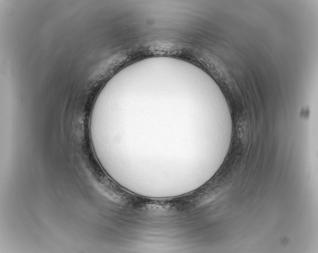 X0000093380690200711011250